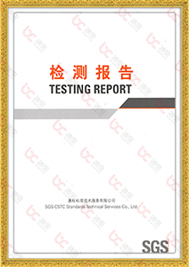 SGS检测报告