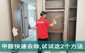 甲醛快速去除,试试这2