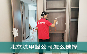 北京除甲醛公司怎么选